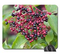 Tappetini Mouse, Holler Flowering Red Nature Bio Flora Plant Gaming Mousepad Antiscivolo Gaming Tappetino Mouse Pratica Mousepad per Ufficio Laptop 25X30Cm