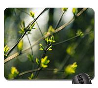 Tappetini Mouse, Leaves Spring Bokeh Fresh Young Life Ecology Mouse Pad Bordi Cuciti Tappetino Mouse Pad Antiscivolo Gaming Tappetino Mouse per Notebook Ufficio 25X30Cm