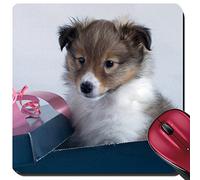 Tappetini Mouse, Little Puppy Sheltie in A Box On A Gray Background Tappetino da Gaming Confortevole Tappetini per Il Mouse da Gioco Antisfilacciamento Tappetini per Il Mouse per 25X30Cm