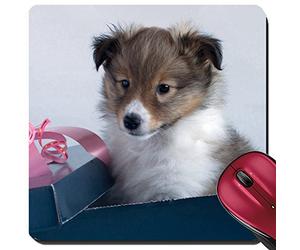 Tappetini Mouse, Little Puppy Sheltie in A Box On A Gray Background Tappetino da Gaming Confortevole Tappetini per Il Mouse da Gioco Antisfilacciamento Tappetini per Il Mouse per 25X30Cm