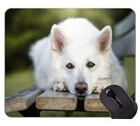 Tappetini mouse mouse, cane Berger Blanc Suisse - Bordi cuciti
