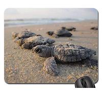 Tappetini Mouse, Sea Turtles Hatchlings Baby Beach Sand Water Tappetini per Il Mouse da Gioco Antiscivolo Mouse Pad Pratica Tappeto Mouse per Casa Pc 25X30Cm
