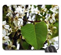 Tappetini Mouse, Tree Autumn Seasonal Seasons Nature Gaming Tappetino Mouse Pratica Tappetino Mouse Confortevole Tappetino per Il Mouse da Gioco per Pc Gaming 25X30Cm