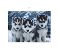 Tappetini per asciugare i piatti in microfibra ultra assorbenti per ripiani della cucina, a forma di cane Husky, 18"X24"