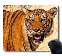 Tappetini per il mouse animali divertenti, predatore animale gatto grande, pad del mouse tigre clemson