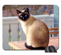 Tappetini per Il Mouse da Gioco, Cat Siamese Cat Fur Kitten Breed Cat Mieze Mouse Pad Liscia Tappetini per Il Mouse Bordi Cuciti Tappeto Mouse per Gaming Ufficio 25X30Cm