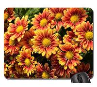 Tappetini per Il Mouse da Gioco, Flower Chichewa Live Vivid Color Flowers Plant 9 Tappetini Mouse Pratica Gaming Mousepad Antiscivolo Gaming Pad per Ufficio Gaming 25X30Cm