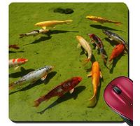 Tappetini per Il Mouse da Gioco, Group Od Koi Fishes in A Pond Swimming Tappeto Mouse Ergonomico Mouse Pad Personalizzato Tappetino Mouse Pad per Casa Gaming 25X30Cm