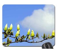 Tappetini Per Il Mouse Da Gioco, Magnolia The Buds Yellow Twigs Magnolia Branches Tappeto Mouse Pratica Tappetini Per Il Mouse Bordi Cuciti Tappetino Mouse Pad Per Notebook Gaming 25X30Cm