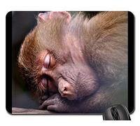 Tappetini per Il Mouse da Gioco, Monkey Sleeping Zoo Animal Nature Wild Tappetino Mouse Gaming Antiscivolo Tappetini per Il Mouse Confortevole Tappetino da Gaming per Laptop Casa 25X30Cm