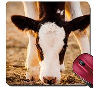Tappetini per Il Mouse da Gioco, Newborn Calf Cow Watching At The Camera Tappetino Mouse Gaming Antipolvere Mousepad Ergonomico Tampone per Mouse per Gaming Mouse 25X30Cm