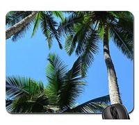 Tappetini per Il Mouse da Gioco, Palm Trees Palms Tropical Nature Beach Vacation Tappetino Mouse Liscia Tappetino da Gaming Pratica Tappetino per Mouse per Computer Notebook 25X30Cm