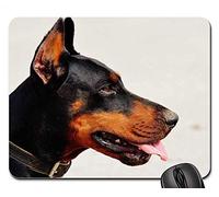 Tappetini per il mouse - Doberman Dog Animal World Animal Hundeportrait Pet