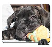 Tappetini per Il Mouse, Dog Puppy Cane Corso Cute Tappeto Mouse Ergonomico Tappetino per Il Mouse da Gioco Confortevole Mouse Pad per Pc Gaming 25X30Cm