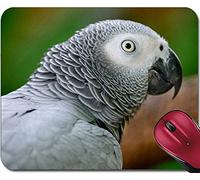 Tappetini Per Il Mouse, Grey Parrot African Grey Parrot Psittacus Erithacus Face Profile Tappetino Mouse Antipolvere Tappetino Mouse Gaming Antisfilacciamento Tappetini Mouse Per 25X30Cm