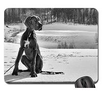 Tappetini per Il Mouse, Puppy Great Dane Dog Tappetini Mouse Liscia Tappetino Mouse Pad Confortevole Gaming Mousepad per Ufficio Casa 25X30Cm