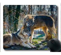 Tappetini per il mouse Yanteng, predatore della fauna selvatica wolf Mousemat (multicolore)
