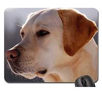 Tappetini per Il Mouse, Yellow Labrador Retriever Dog Canine Sporting Gaming Mousepad Personalizzato Tappetini Mouse Pratica Tampone per Mouse per Gaming Ufficio 25X30Cm