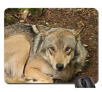Tappetini per Mouse da Gioco, Tappetino per Mouse, Timberwolf Wolf Animal Predator Wild Grey Canine