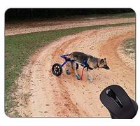 Tappetini per mouse - Pastore olandese, tappetino per mouse pastore tedesco con bordo cucito