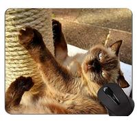 Tappetini per mouse, tappetini per mouse domestici Shorthair Kitten Cat su misura, tappetino per mouse British Shorthair con bordo cucito