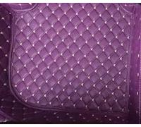 Tappetini Per Toyota Per Prius 2° 3° W2 W3 2003-2015 Tappetini Auto Mouse Carpets Accessorie Coche Per Piedi(Viola,2003-2009)