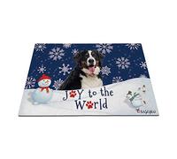 Tappetini Porta Dingresso Lavabile Tappeto Asciugapassi Divertenti Zerbino di Benvenuto per Soggiorno Nuova Casa 40X60cm Buone Vacanze Invernali sulla Neve con Il Mio Amore Cane Bovaro del Bernese