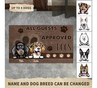 Tappetini Porta Dingresso Lavabile Tappeto Ingresso Casa Antiscivolo Zerbino Di Benvenuto Per Soggiorno Camera Letto Interno 40X60Cm Tutti Gli Ospiti Devono Essere Approvati Dai Nostri Cani