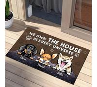 Tappetini Porta Dingresso Resistente Tappetino Da Bagno Antiscivolo Tappeto Ingresso Casa Per Balcone Soggiorno Camera Letto 40X60Cm Il Cane È Il Padrone Della Casa In Ogni Universo