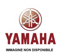 Tappetino 3 YAMAHA X-MAX 125 X-MAX 300 X-MAX 400 2018-2022 2024 B74-F7493-00