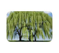 Tappetino antiscivolo ispessito YYHWHJDE Willow Tree stampe antiscivolo, facile da pulire, durevole, resistente allo sbiadimento, perfetto per bagno 60 x 40 cm