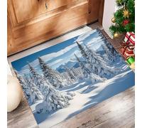 Tappetino Antiscivolo Lavabile Cedro Bianco Zerbino Trappola Sporco Paese Delle Meraviglie Invernale Zerbino d'Ingresso Assorbenti per Cane, Ingresso, Porta e Corridoio, 60x90 cm, Azzurro Cielo