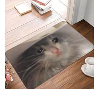 Tappetino antiscivolo per porta con meme di gatti piangenti e triste Yee-Haw antiusura per cucina ingresso casa balcone tappetini antiscivolo