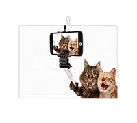 Tappetino asciugapiatti in microfibra per animali domestici e gatti, piccolo, ultra assorbente, 16 x 18 pollici