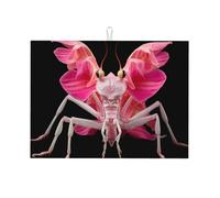 Tappetino assorbente da cucina con mantide orchidea che prega, 45,7 x 61 cm, fibra ad alta densità assorbe rapidamente l'acqua