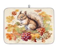 Tappetino assorbente per scolapiatti autunnale in acero e scoiattolo d'uva, per bancone della cucina, tappetino in microfibra reversibile con anello per appendere utensili in vetro, pentole, 45,7 x 61