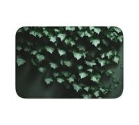 Tappetino con bordo bloccato orlo 40 x 60 YYHWHJDE Green Creeper stampe per WC, toletta, casa vacanze, bagno principale, bagno dei bambini e suite per gli ospiti