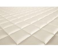 Tappetino cruscotto F-CORE FD09 CHAMP per VOLVO FH II 12.777 2017-