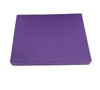 Tappetino da allenamento per l'equilibrio Tappetino per esercizi ad alta resilienza per l'allenamento della forza maschio femmina (Viola)