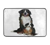 Tappetino da Bagno Bernese Mountain Dogs Dog Puppy Tappeti Decorativa Tappeto Ingresso Resistente Zerbino da Interni per Cucina Camera da Letto Ufficio 40X60 CM
