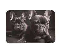 Tappetino da bagno con bulldog francese Diatome, assorbe l'umidità e lo sporco, zerbino con retro in gomma antiscivolo, adatto sotto la porta, per pavimento del bagno, vasca, doccia, lavandino