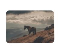 Tappetino da bagno con cavallo al pascolo sulla montagna Diatoma, assorbe l'umidità e lo sporco, zerbino con retro in gomma antiscivolo, adatto sotto la porta, per pavimento del bagno, vasca, doccia