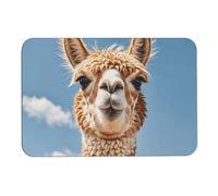 Tappetino da bagno in alpaca con lama diatomica e fango, assorbe l'umidità e lo sporco, zerbino con retro in gomma antiscivolo, adatto sotto la porta, per pavimento del bagno, vasca, doccia, lavandino