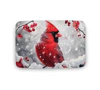 Tappetino da cucina con stampa con uccellino rosso e neve, lavabile, tappetino da doccia, tappeto per bagno, soggiorno, 50 x 40 cm, 80 x 50 cm