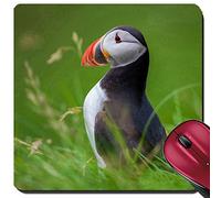 Tappetino da Gaming, Atlantic Puffin Standing in Grass Iceland Tappetini Mouse Confortevole Tappetini per Il Mouse da Gioco Antisfilacciamento Tappetino Mouse per Computer Laptop 25X30Cm