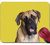 Tappetino da Gaming, English Mastiff Young Dog Sitting Pretty Gaming Mousepad Antisfilacciamento Tappeto Mouse Multifunzionale Tappetino Mouse Pad per Mouse Notebook 25X30Cm