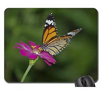 Tappetino da Gaming, Flower Butterfly Garden Thailand Animal Nature Tappetino Mouse Antipolvere Tappetini per Il Mouse Ergonomico Tappetino per Il Mouse da Gioco per Ufficio Computer 25X30Cm