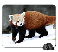 Tappetino da Gaming, Red Panda Panda Cat-Bear Walking Looking Zoo Tappetini per Il Mouse Bordi Cuciti Mousepad Liscia Tappetino Mouse Pad per Computer Gaming 25X30Cm