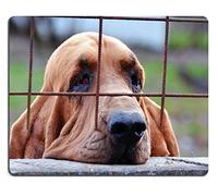 Tappetino Da Gaming, Sad Dog Bloodhound Looking Through The Bars Tappetino Per Mouse Lavabile Gaming Mousepad Antipolvere Tappetino Per Il Mouse Da Gioco Per Gaming Gamers 25X30Cm