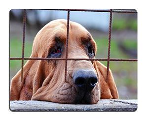 Tappetino da Gaming, Sad Dog Bloodhound Looking Through The Bars Tappetino per Mouse Lavabile Gaming Mousepad Antipolvere Tappetino per Il Mouse da Gioco per Gaming Gamers 25X30Cm